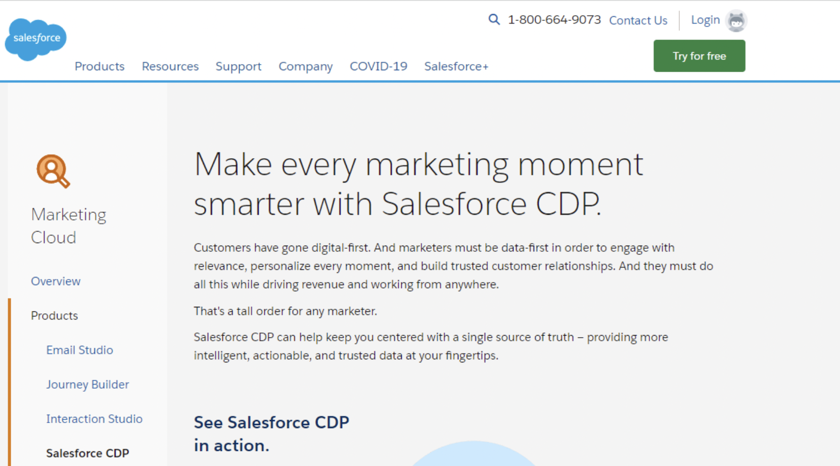 salesforce cdp