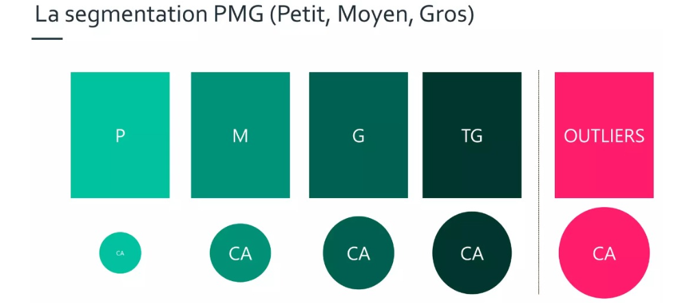 Exemple de segmentation PMG